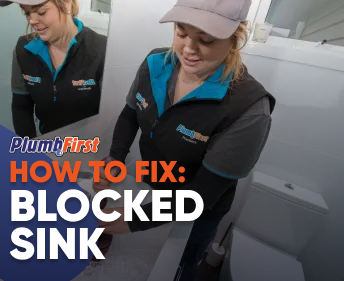 Professional Plumbers