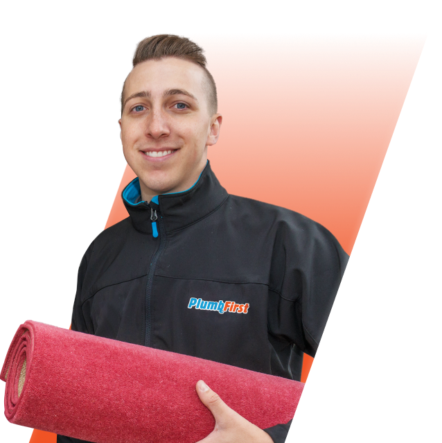 Professional Plumbers