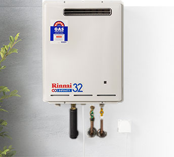 Professional Plumbers