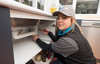 Professional Plumbers