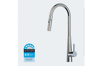 Professional Plumbers